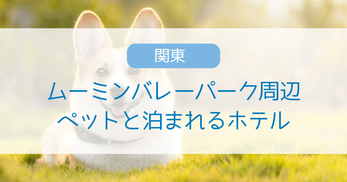 ムーミンバレーパーク周辺のペット可ホテル5選！愛犬と同室で過ごせる宿を紹介